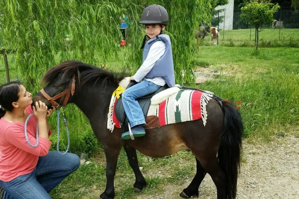 Feel Night Animation — photo 3