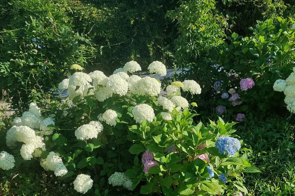 Salon la Cuadra — photo 8