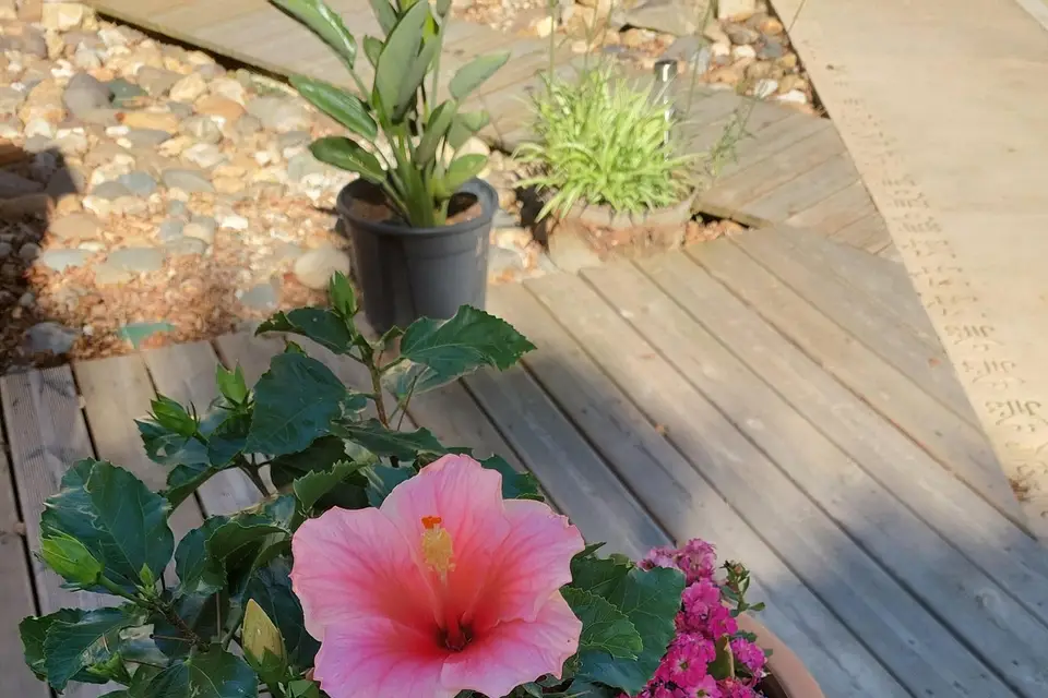 Salon la Cuadra — photo 5