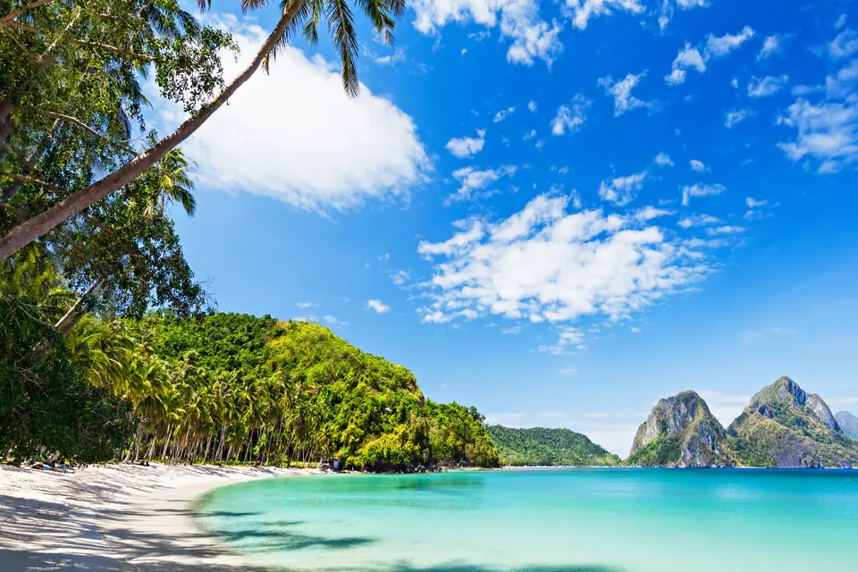 Rêves Vagabonds — photo 3