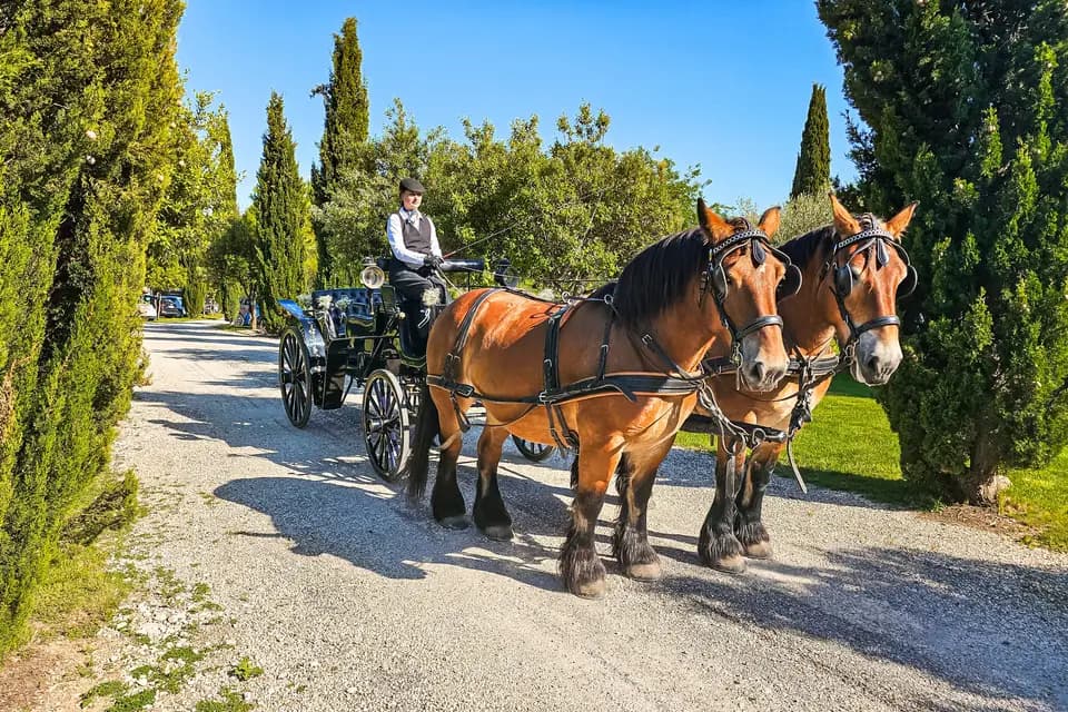 Les Attelages du Vidourle — photo 8