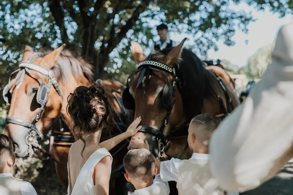 Les Attelages du Vidourle — photo 7