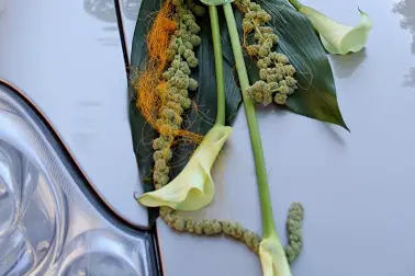 Créafleur — photo 5