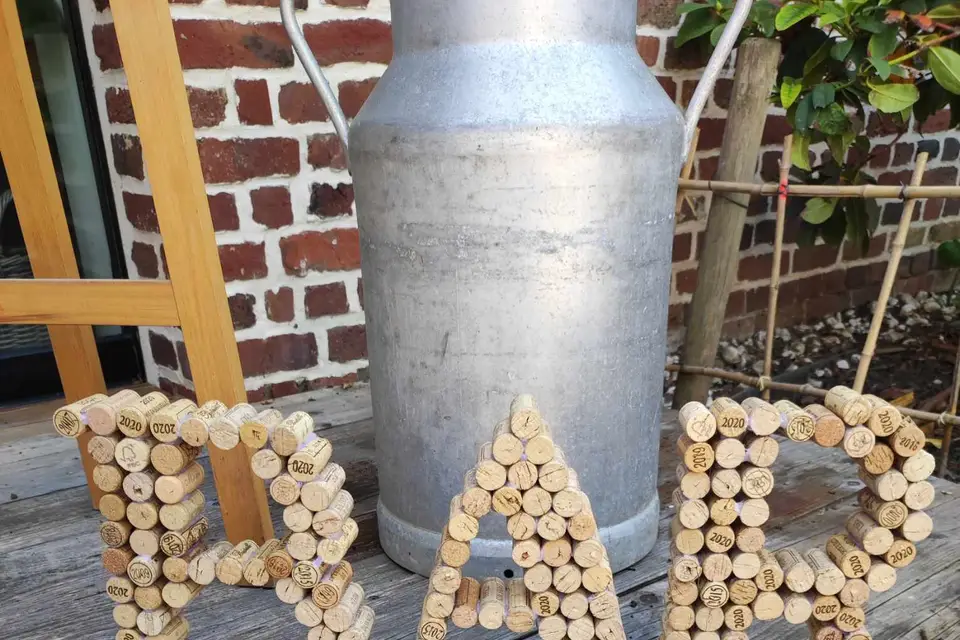 Fée Main 62 — photo 7