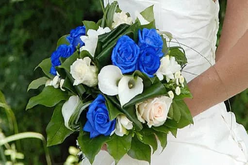 Amarante — photo 3