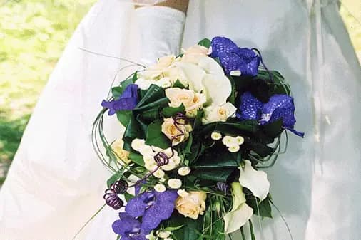 Amarante — photo 5