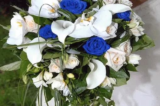 Amarante — photo 6