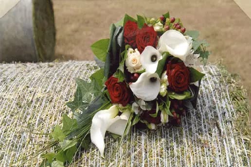 Amarante — photo 7