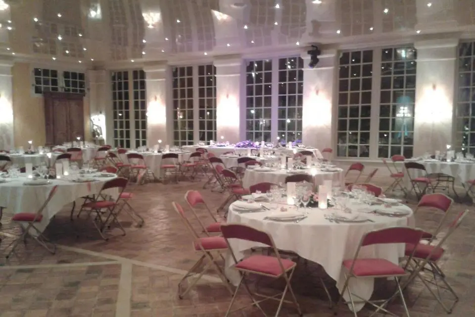 TS Animation — photo 3