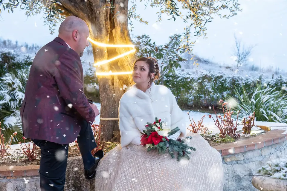 MK Photo — photo 3