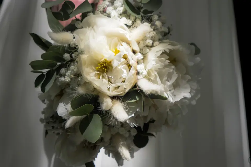 LMC Photos — photo 7