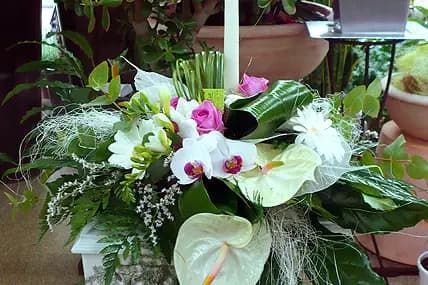 Abélia Fleuriste — photo 4