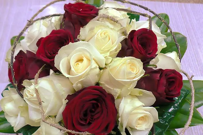 Abélia Fleuriste — photo 5