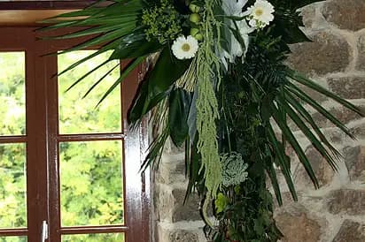 Abélia Fleuriste — photo 6