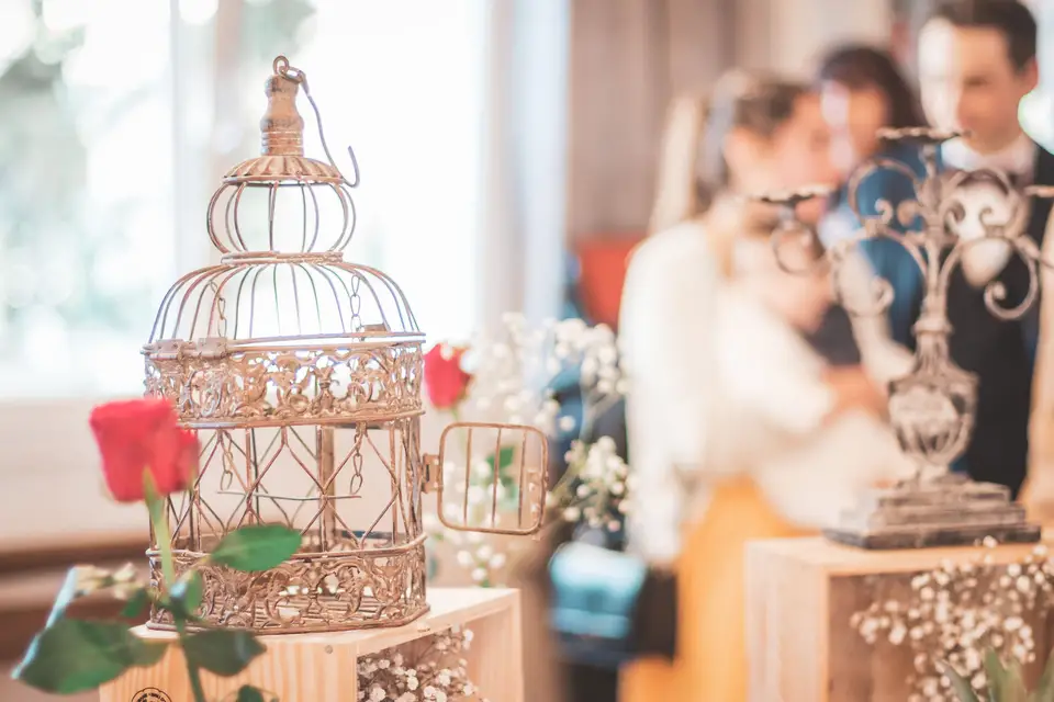 Your Perfect Day — photo 6