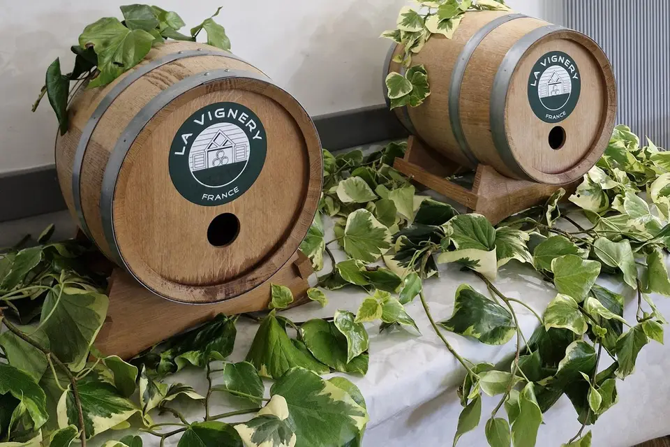 Anim' and Box Événements — photo 4