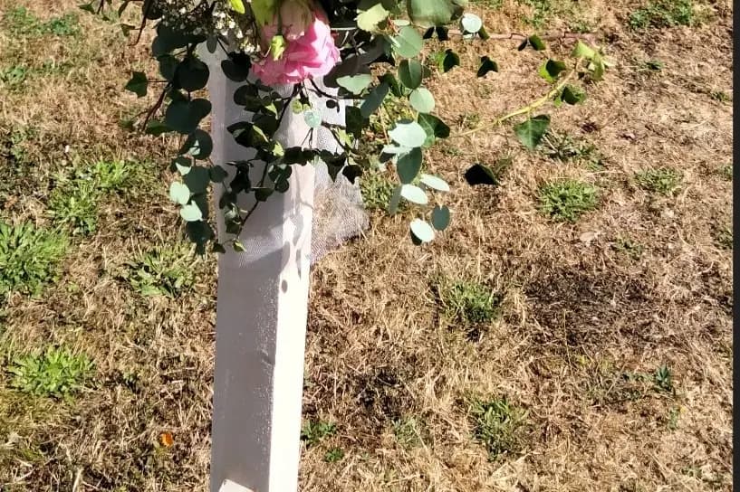 Vert Tige — photo 5