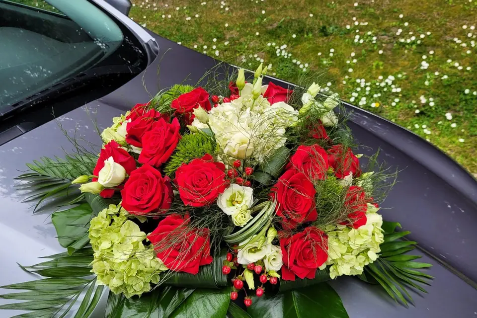 Vert Tige — photo 4