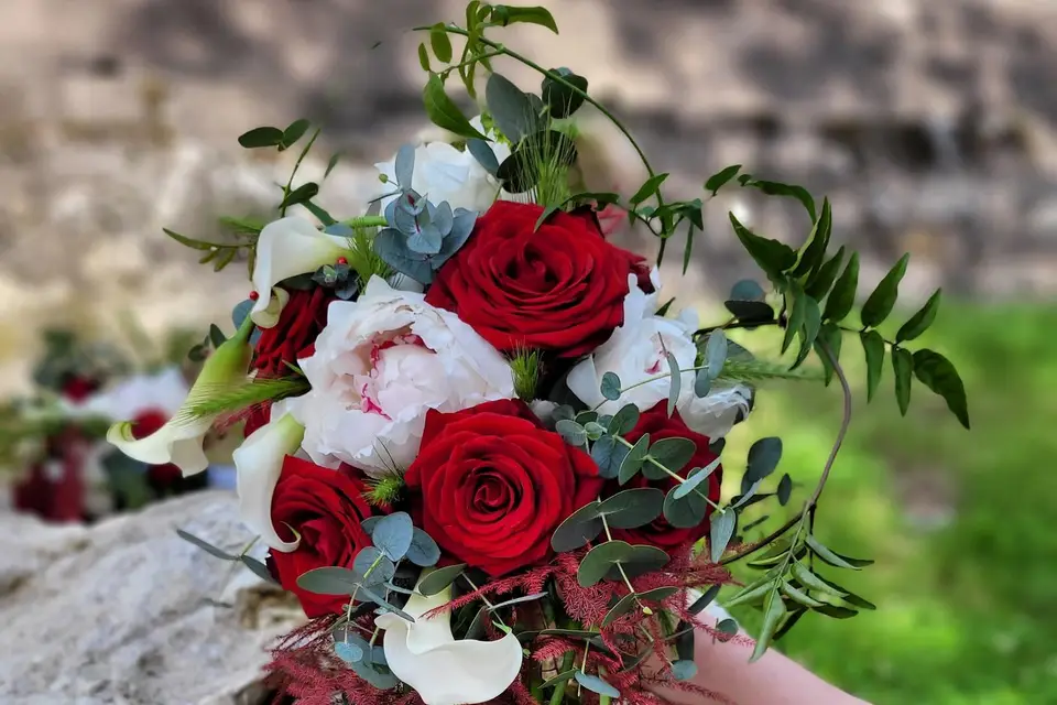 Vert Tige — photo 2