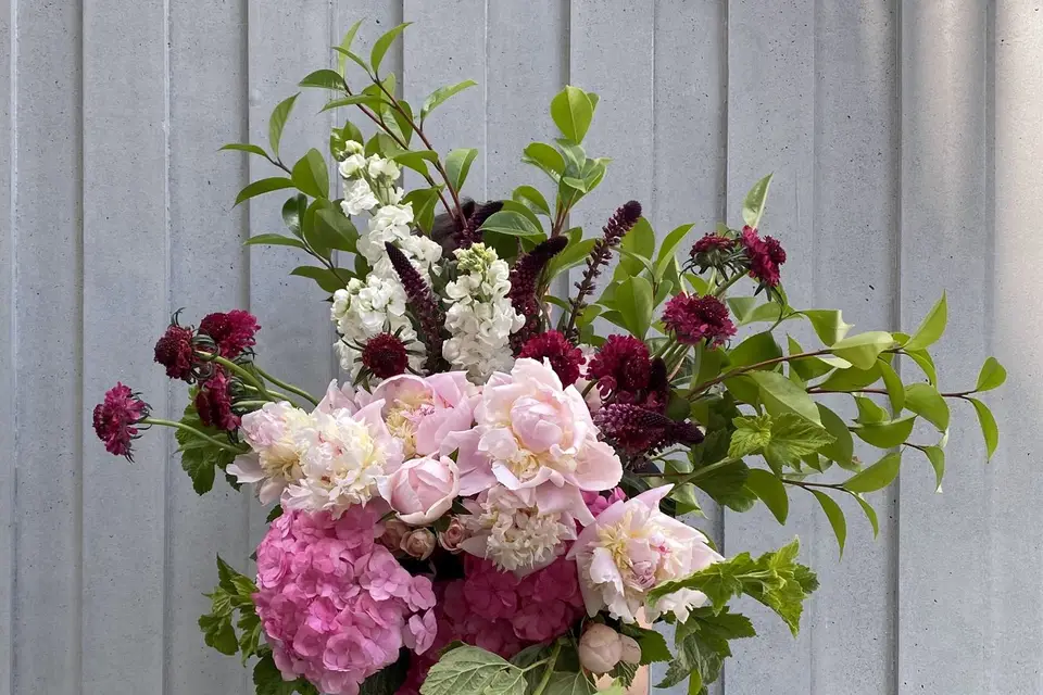 Primeroze — photo 3