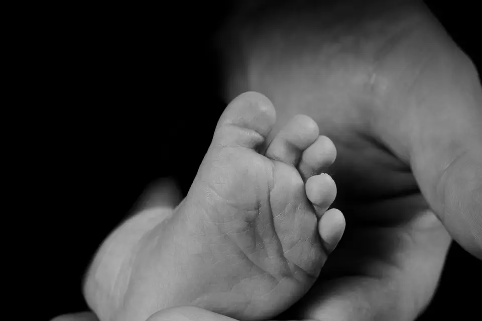 Patrick Bristiel — photo 4