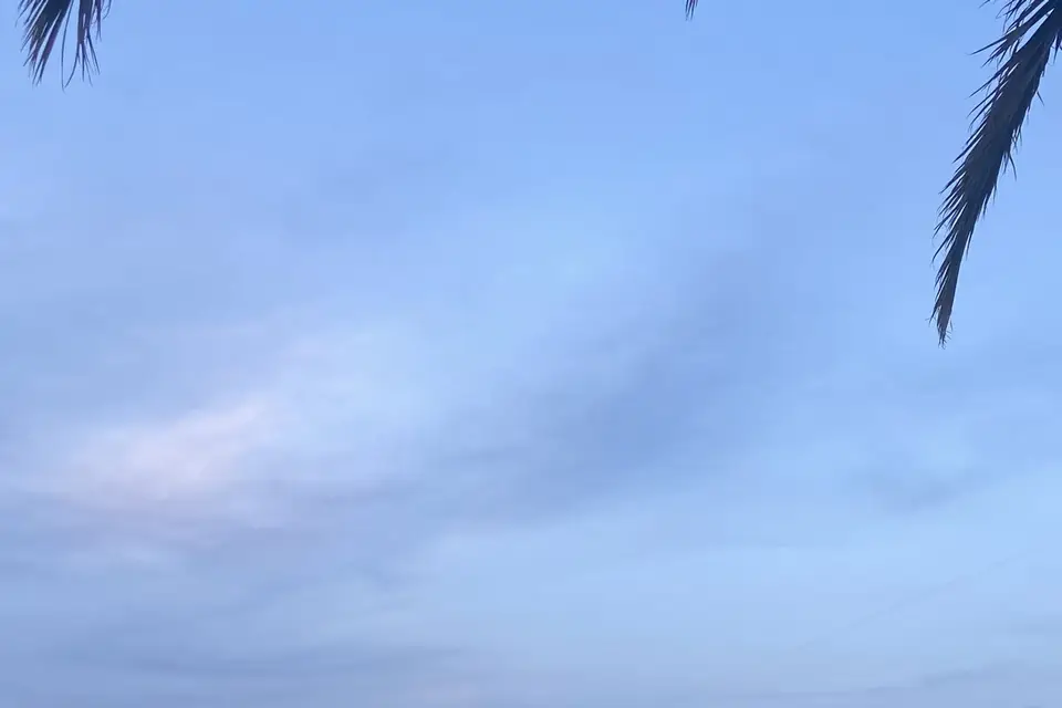 La Villa Mauresque — photo 5