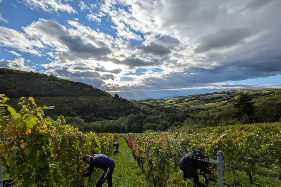 Château de l'Eclair — photo 4