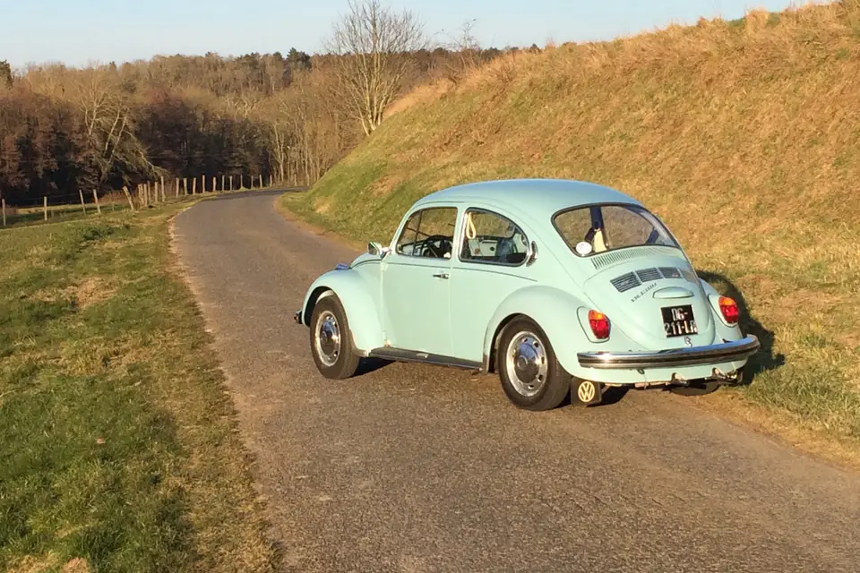 Thom Auto — photo 3