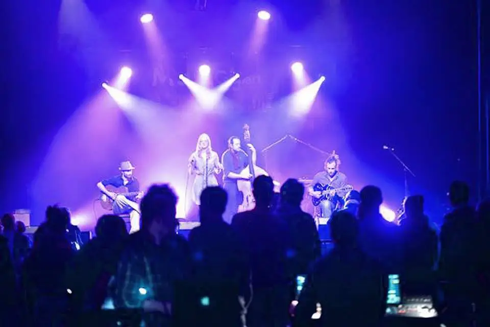 The Blue Nuts — photo 1