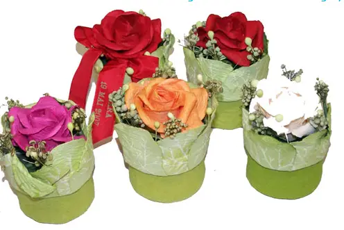 Jeff de Bruges — photo 7