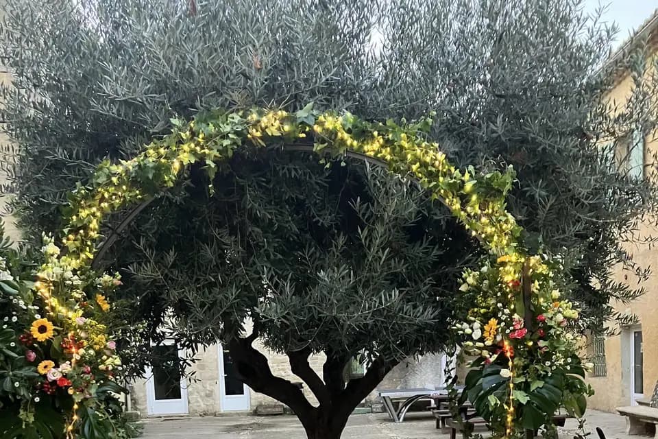 ThomasDeco — photo 2