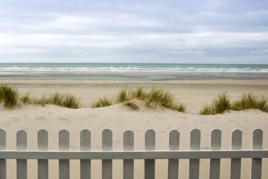 Victoria's Event — photo 4