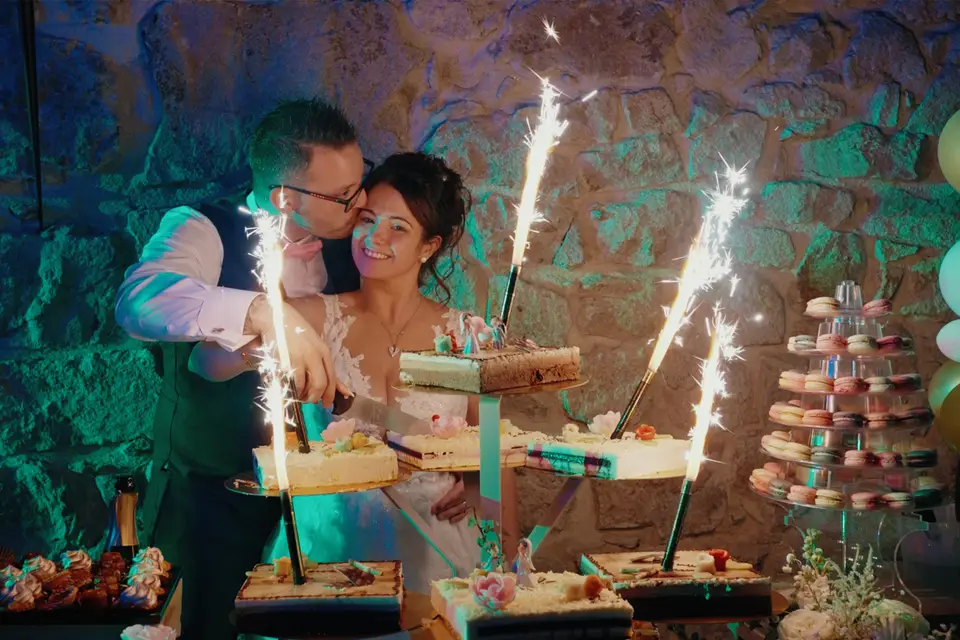 Cameneon Wedding — photo 6