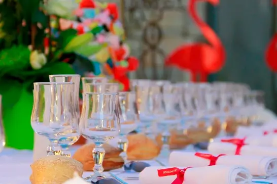 Orangerie de Saliès — photo 7