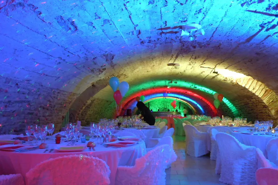 Domaine du Vernay — photo 4