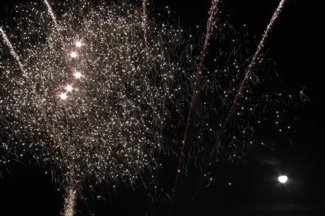 Arti-show — photo 5