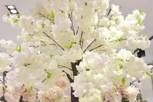 Smile Émotion — photo 3