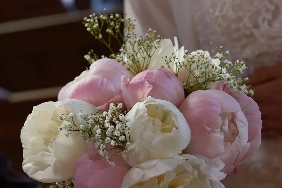 Photo Roncière — photo 6