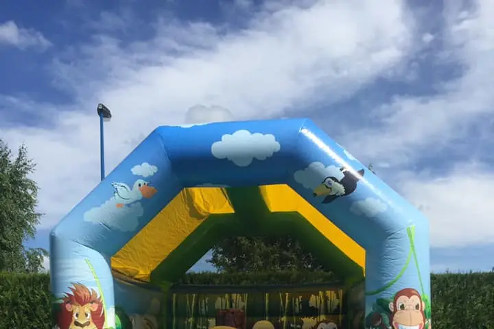 Smile Émotion — photo 8