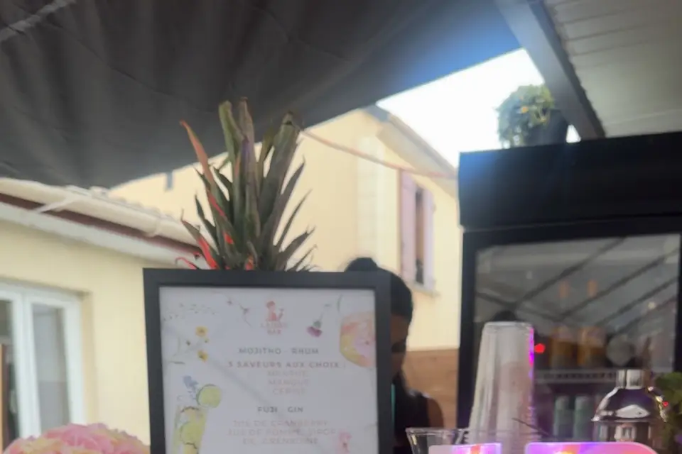 Ladies Bar — photo 2