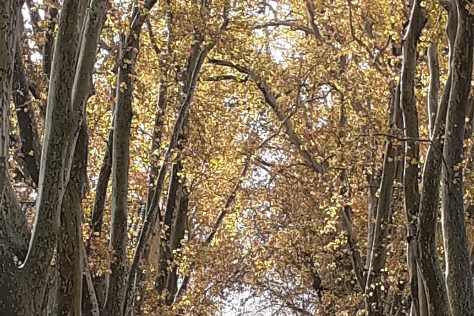 Mas du Juge — photo 1