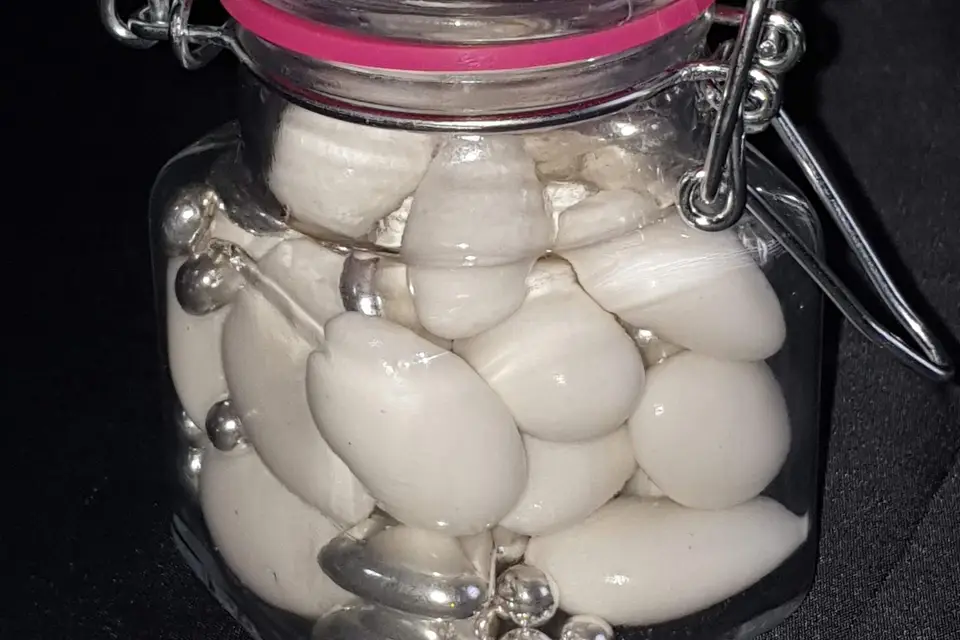 Les Dragées de Sérafina — photo 5