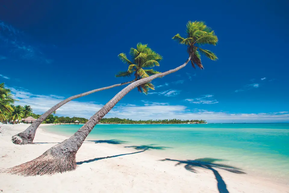 Faure Tourisme — photo 2