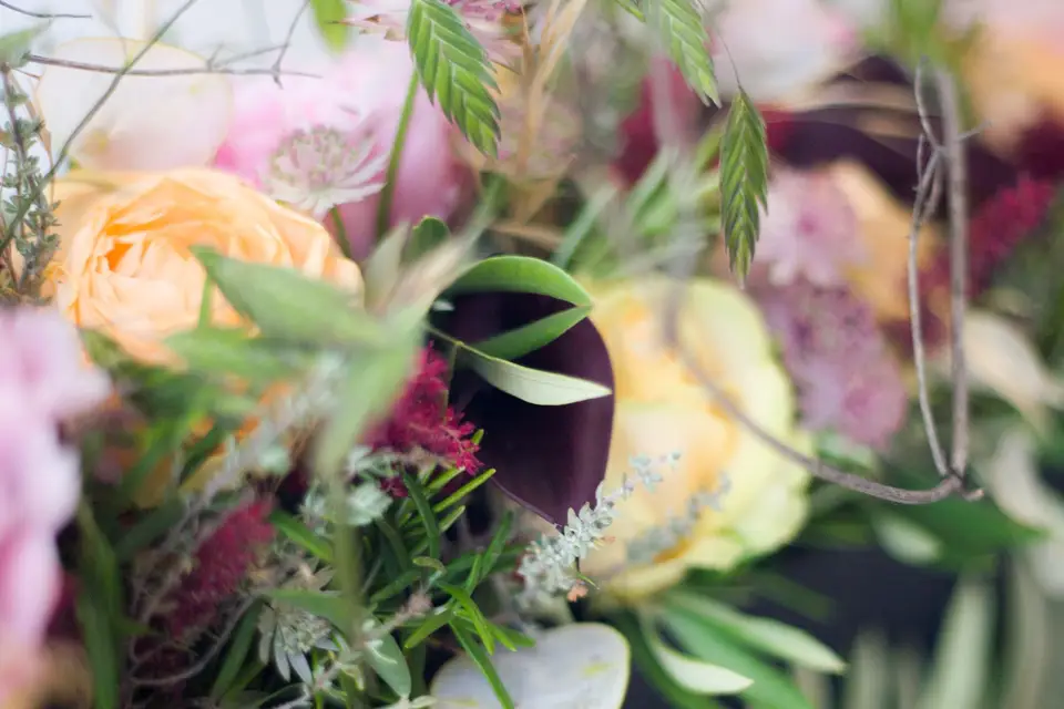 Les Ateliers de Cindy — photo 6