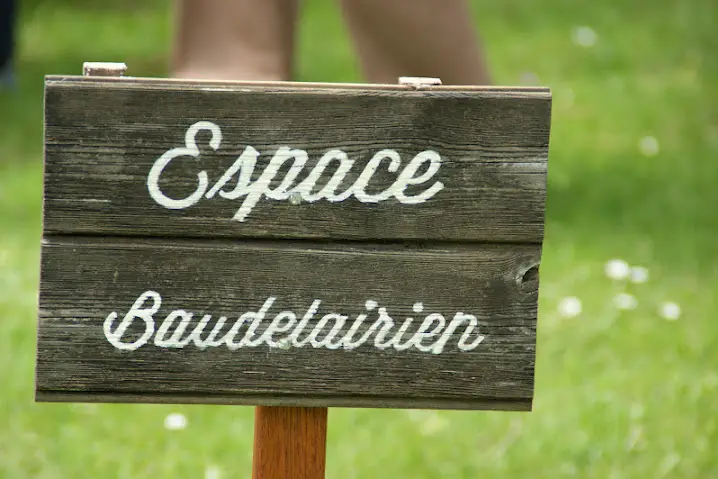 Vena Amoris — photo 5