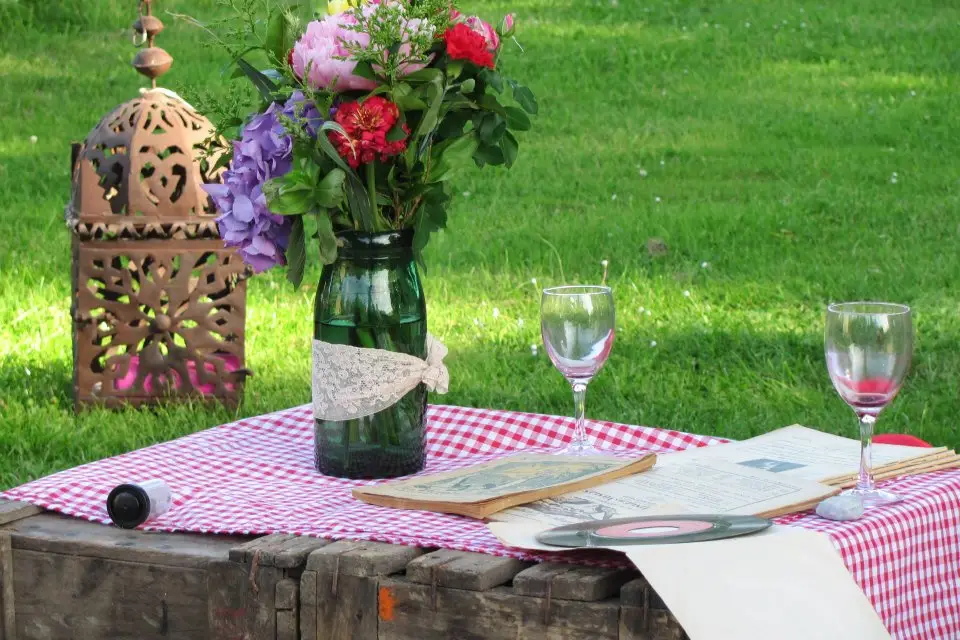 Vena Amoris — photo 7