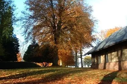 Le Saint André des Arts