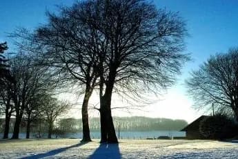 Le Saint André des Arts — photo 2