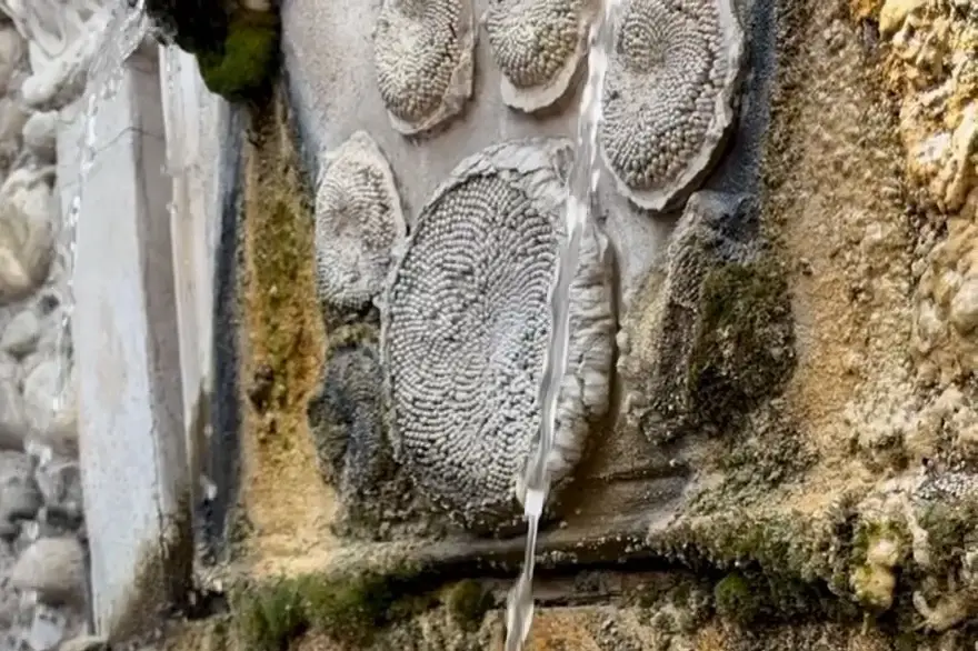 L'Oustaou — photo 4