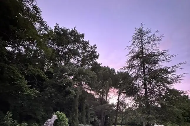 L'Oustaou — photo 2